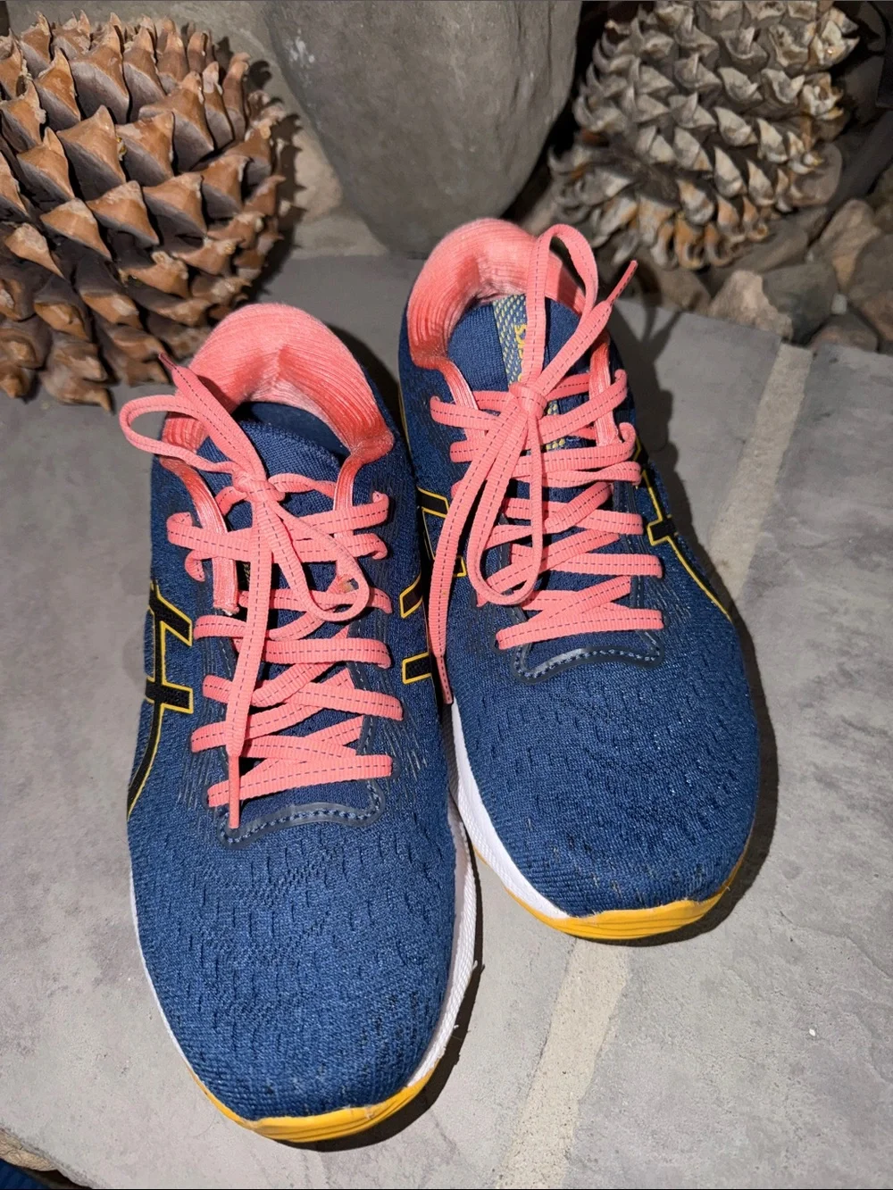 The ASICS Gel-Nimbus 24 Wms 8.5 EUC